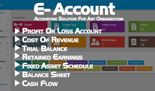 E-Account – Accounting Software for any Organization